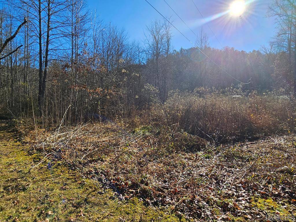 24.74 AC East Fork RD, Sylva, NC 28779