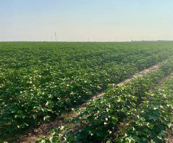 11204 E US Highway 62/82, Idalou, TX 79329