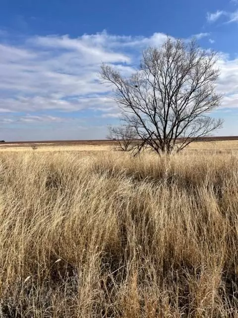 Wilson, TX 79381,2461 FM 211