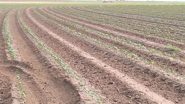 13 S Slide Road, New Home, TX 79383