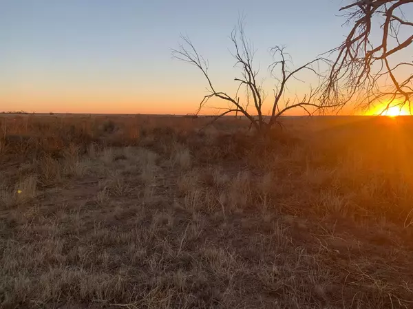 Wellman, TX 79378,0 FM 402