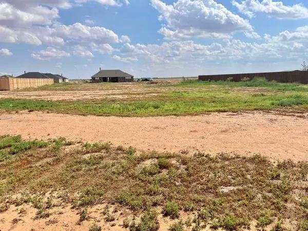 1045 Kitty Lane, New Home, TX 79381