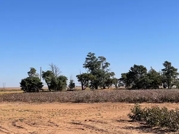 New Home, TX 79383,FM 1730