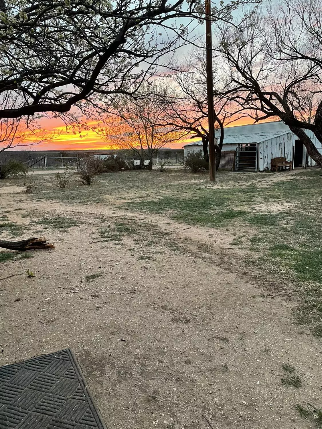 Other, TX 79532,6263 County Road 430