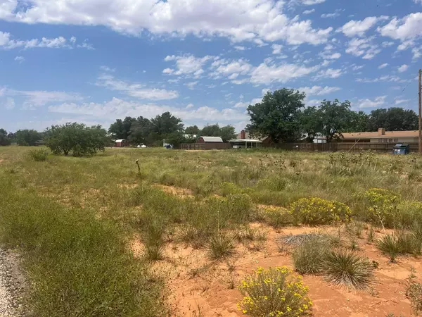 1 Timmons, Ropesville, TX 79358