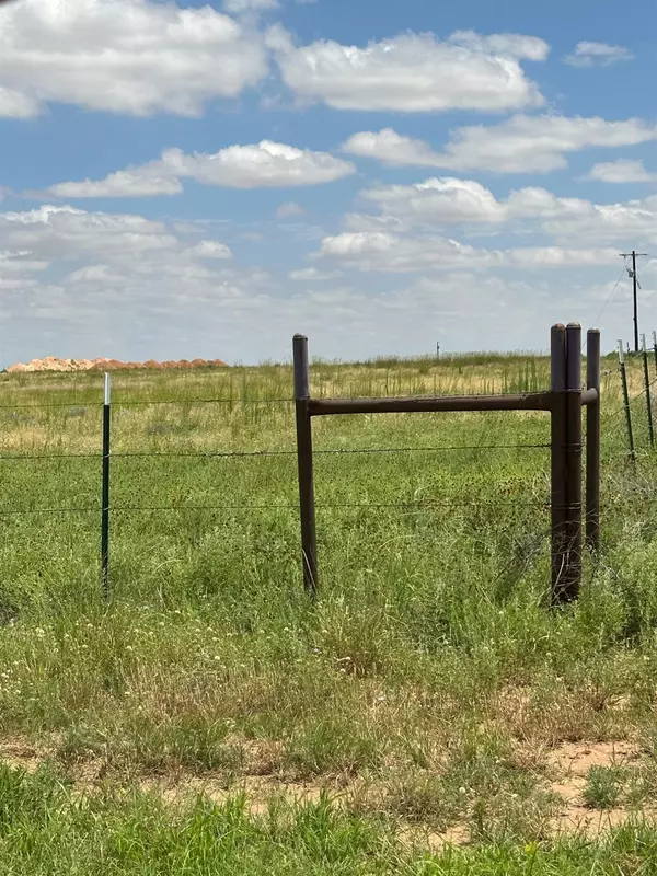 Shallowater, TX 79363,10408 FM 597