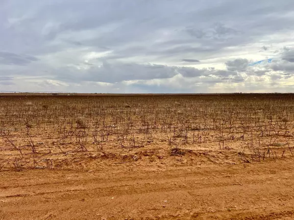 Shallowater, TX 79363,11401 County Road 5100