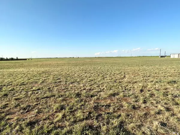 New Home, TX 79381,1162 Broadview Avenue