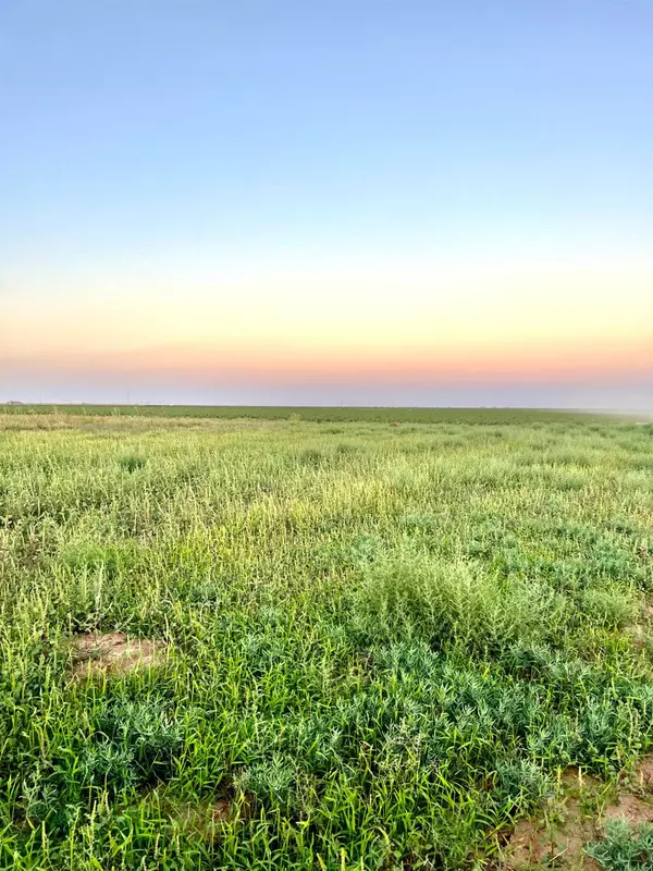 Wilson, TX 79381,1248 County Road 1