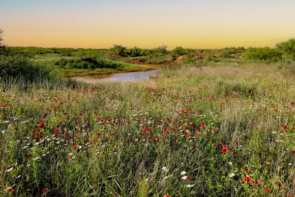 County Road 119, Matador, TX