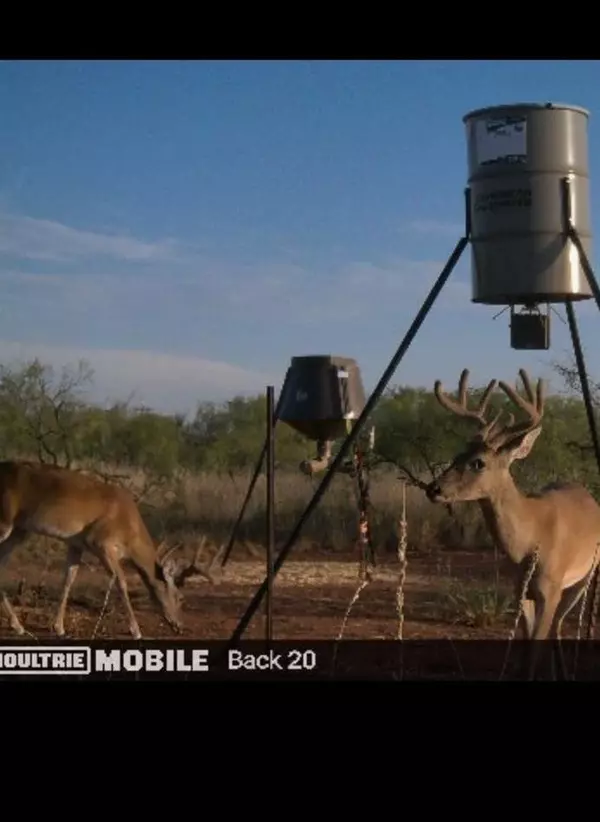 Dickens, TX 79229,1660 State Highway 70