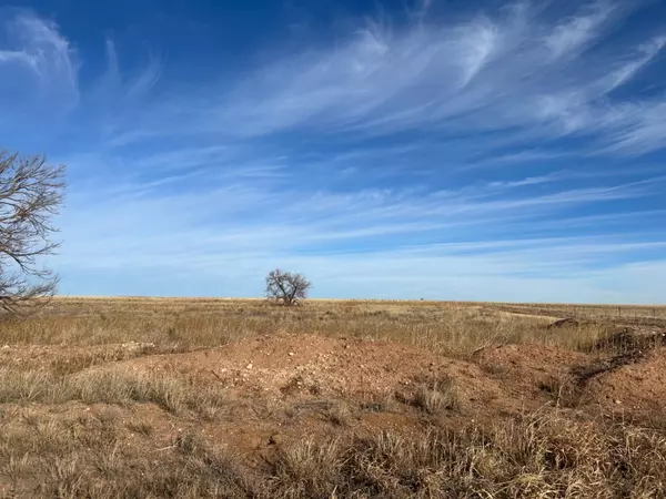 Muleshoe, TX 79347,0 FM 298