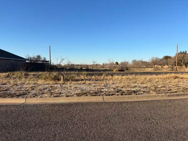 Ransom Canyon, TX 79366,2 N Rim Road