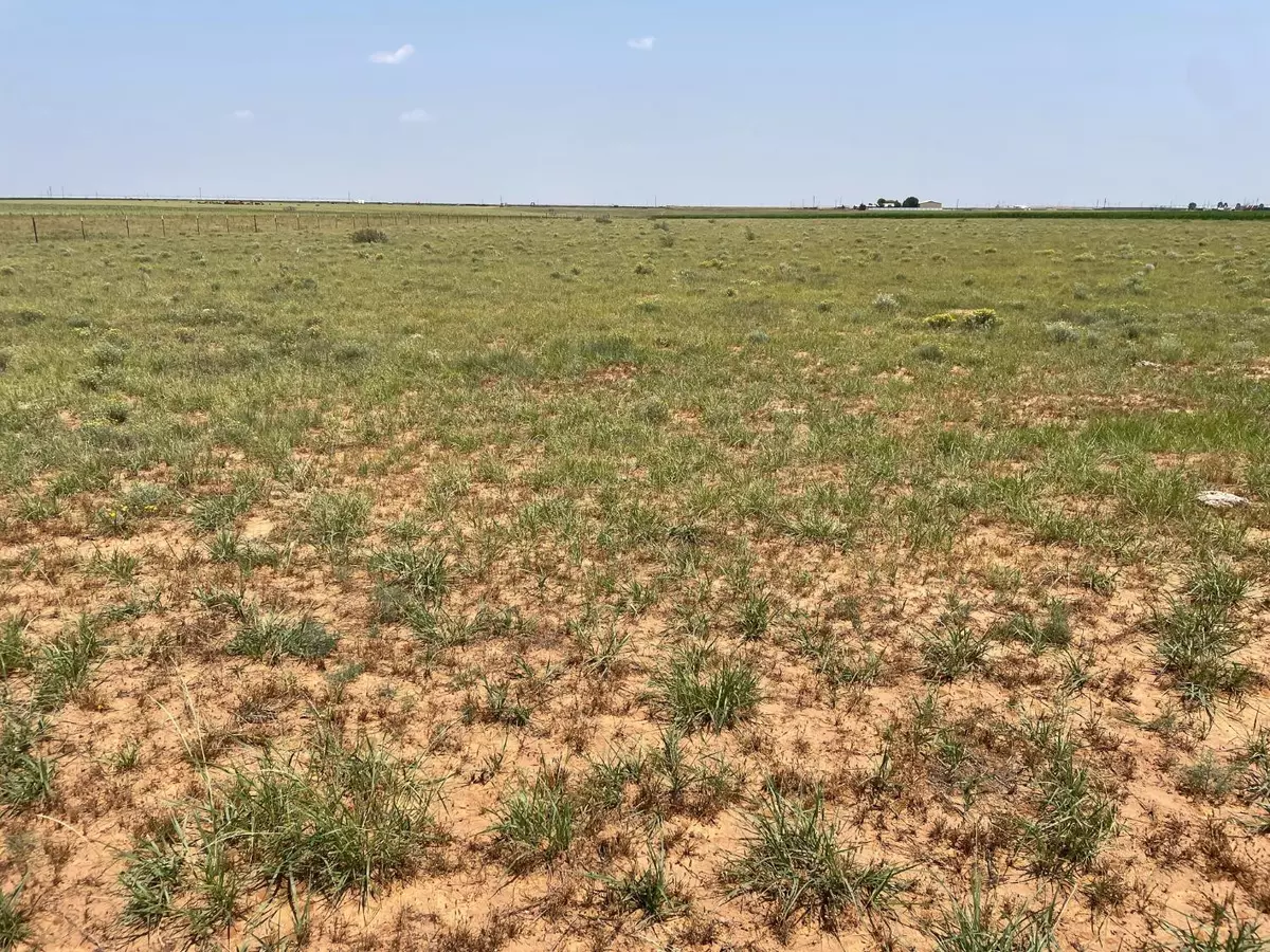 Ropesville, TX 79358,9619 County Road 7500