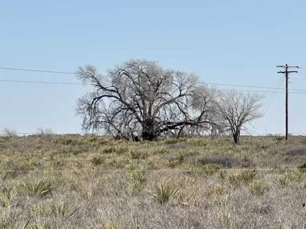 Whitharral, TX 79380,0 Boston road