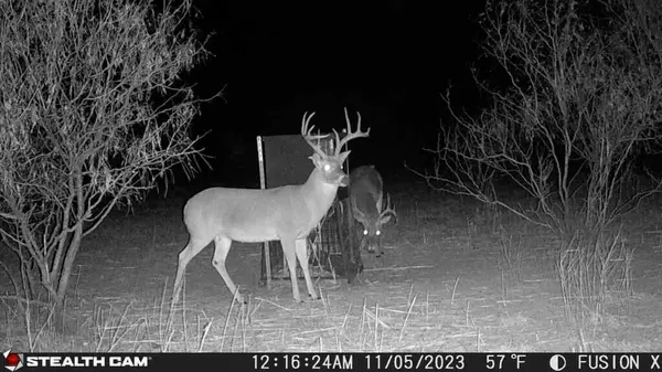 Turkey, TX 79261,TX-86