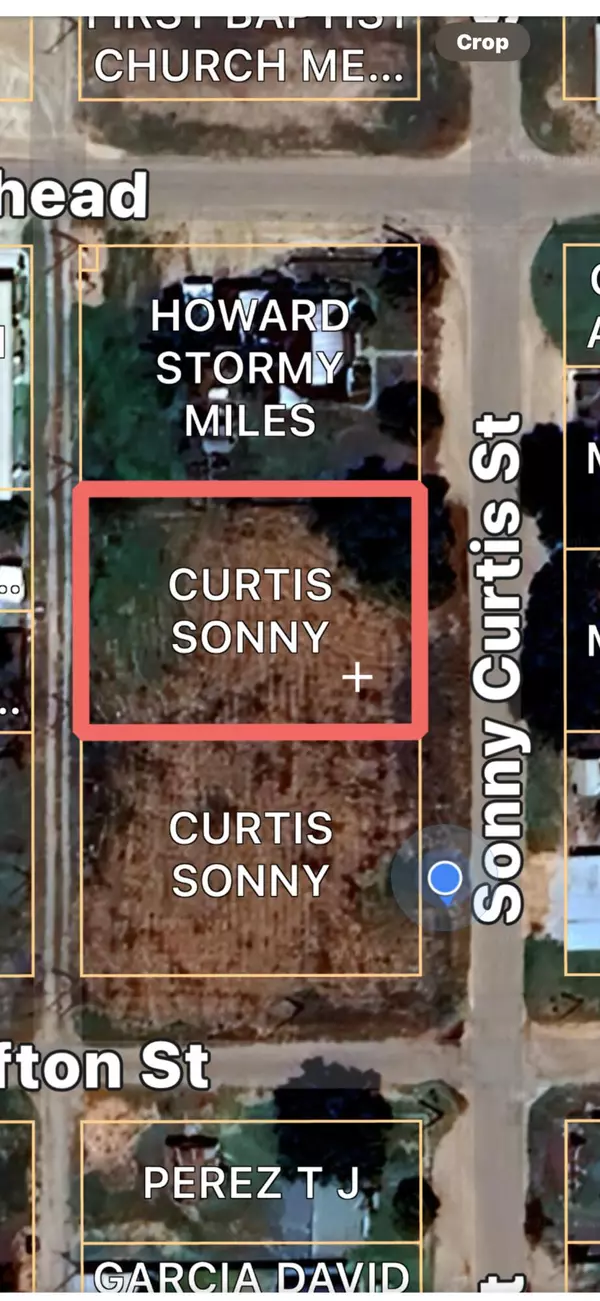 Sonny Curtis Street, Meadow, TX 79345