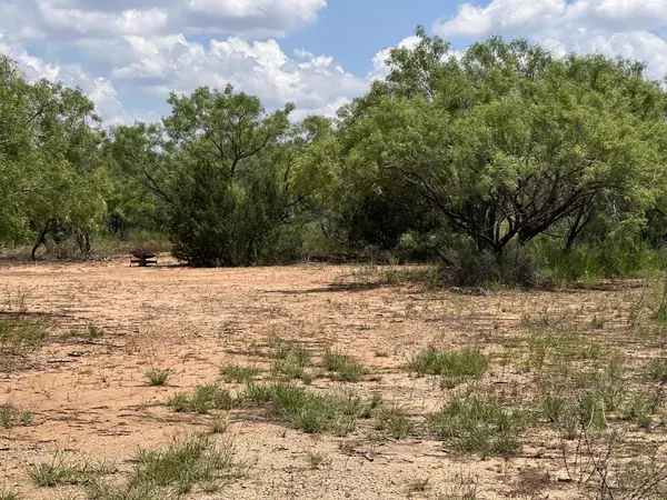 Snyder, TX 79549,7273 Fagan Road