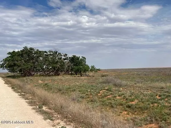 Brownfield, TX 79316,0000 County Road 460