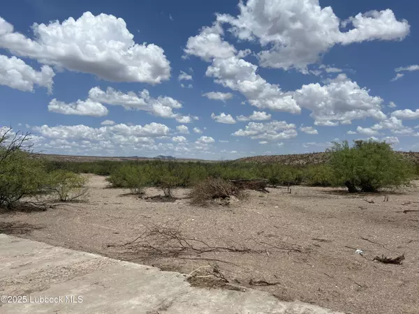 Presidio, TX 79845,Lots 25-31 Sec 65 Block 2 T&P Presidio County