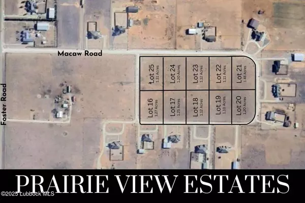 Macaw Road Lot 21, Ropesville, TX 79358