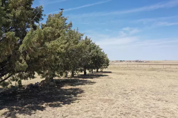 Tulia, TX 79088,7902 FM 1318