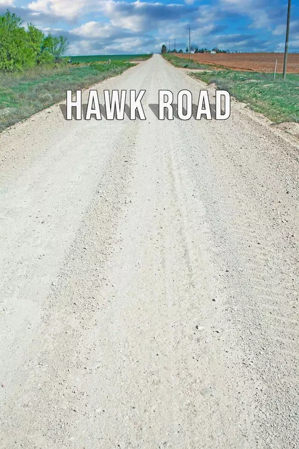 Ropesville, TX 79358,4100 Hawk Road