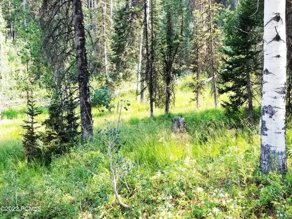 Coalville, UT 84017,2261 Pine Meadow DR Drive