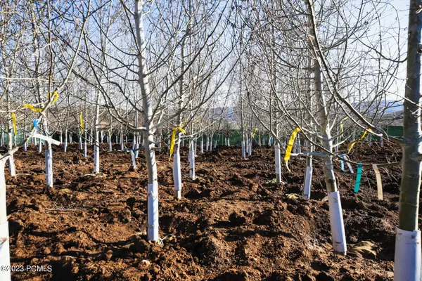 Coalville, UT 84017,574 Village View DR Drive #7