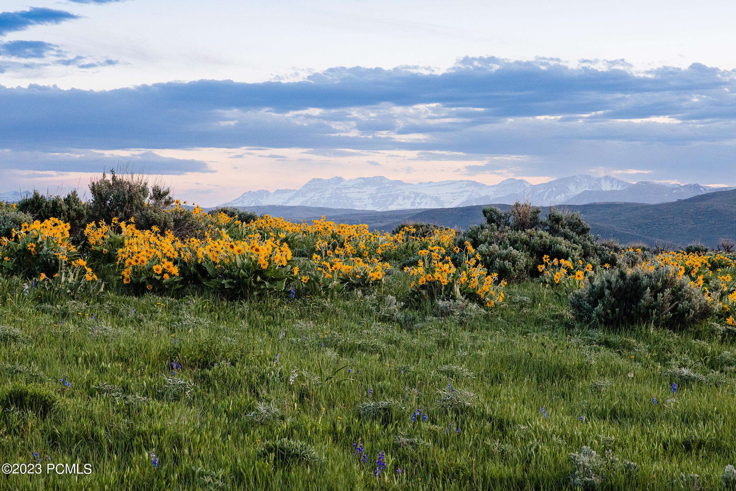 Marion, UT 84036,995 E Hoyt Peak Ranch RD Road