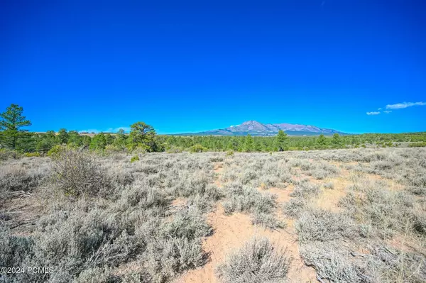 Monticello, UT 84535,E Long Point RD Road