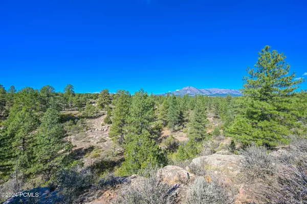 Monticello, UT 84535,E Long Point RD Road