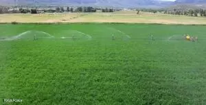 Wallsburg, UT 84082,565 E Main Canyon RD Road