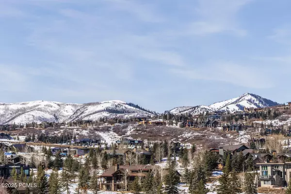 Park City, UT 84098,295 Hollyhock ST Street