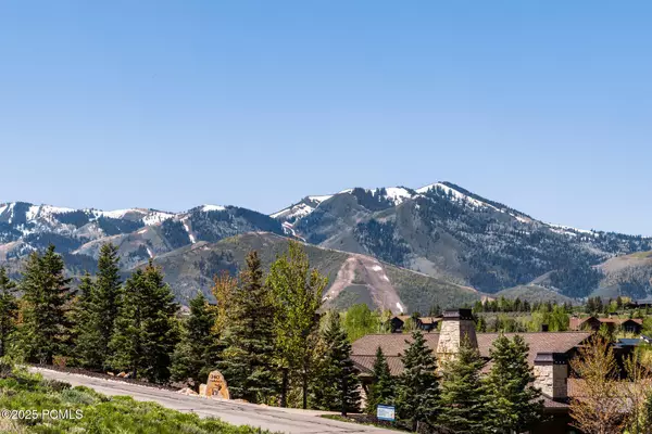 Park City, UT 84098,295 Hollyhock ST Street