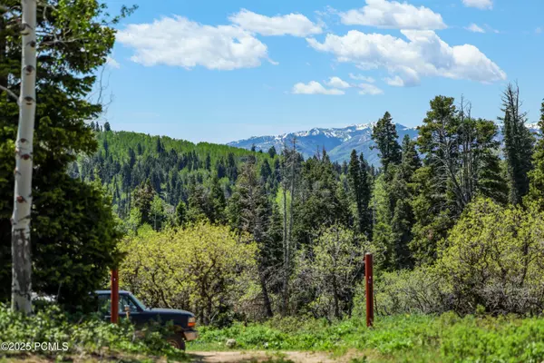 Coalville, UT 84017,1172 W Maple PL Place