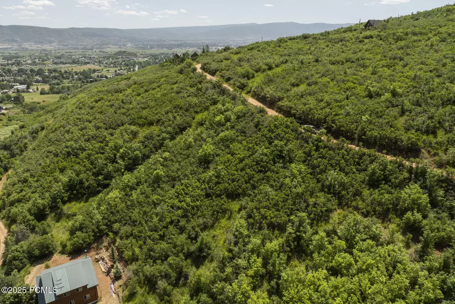 102 Alphorn WAY Way, Midway, UT 84049