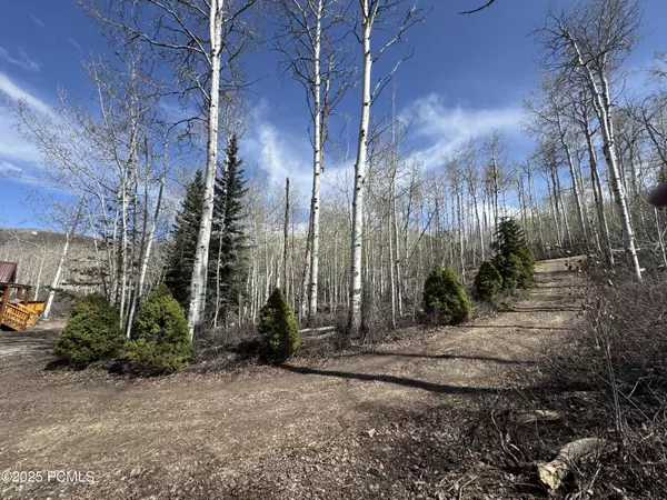 Heber City, UT 84032,10737 E Tanglewood DR Drive