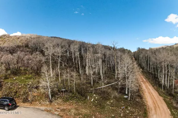 199 Mountain View RD Road, Oakley, UT 84055