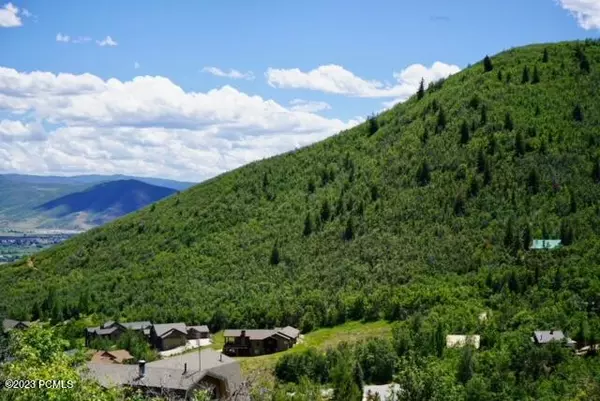 Midway, UT 84049,1246 Hillside DR Drive #87