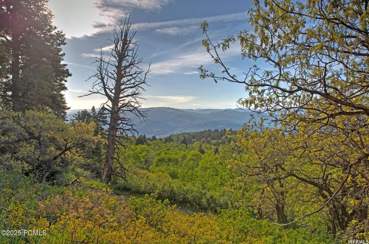 Coalville, UT 84017,1986 Pine Meadow DR Drive