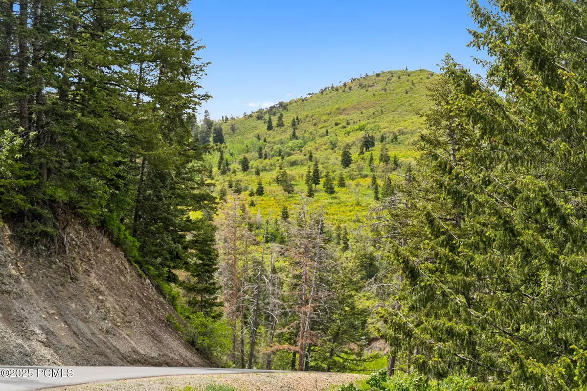 Park City, UT 84098,590 Matterhorn DR Drive