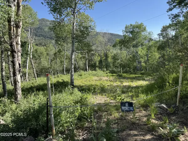 Oakley, UT 84055,5592 Fremont TRL Trail