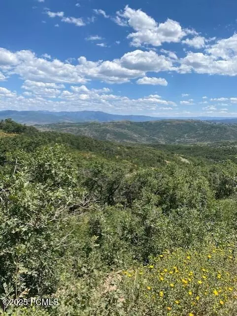 Coalville, UT 84017,2684 S Forest Meadow RD Road #Fm-C-86-A-Am