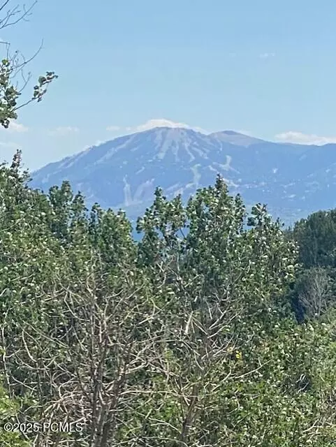 Coalville, UT 84017,2684 S Forest Meadow RD Road #Fm-C-86-A-Am