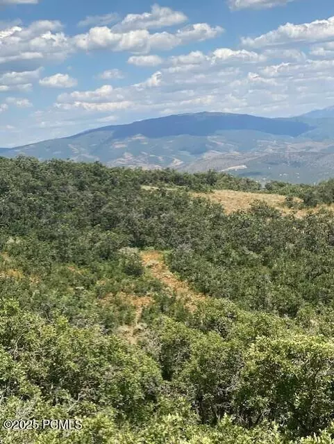 Coalville, UT 84017,2684 S Forest Meadow RD Road #Fm-C-86-A-Am