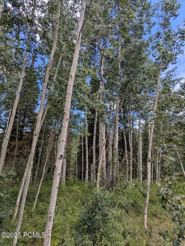 Heber City, UT 84032,11319 E Tanglewood DR Drive #654