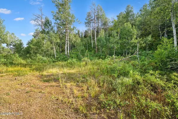 Heber City, UT 84032,Tax Id 00-0008-2409