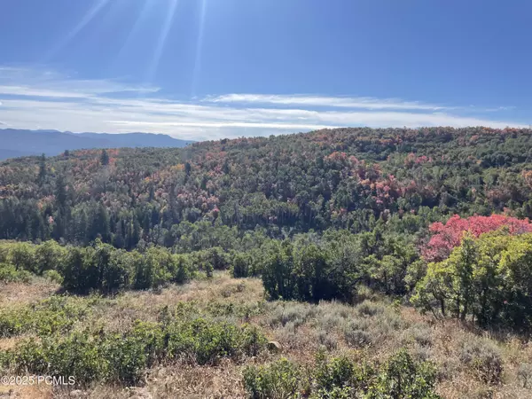 Coalville, UT 84017,Porcupine Loop
