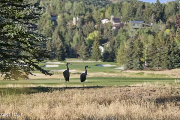 Park City, UT 84060,125 Yonex CT Court